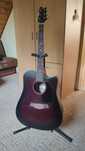 Gitara akustyczna Tim Burton Maiden W-C-WRS