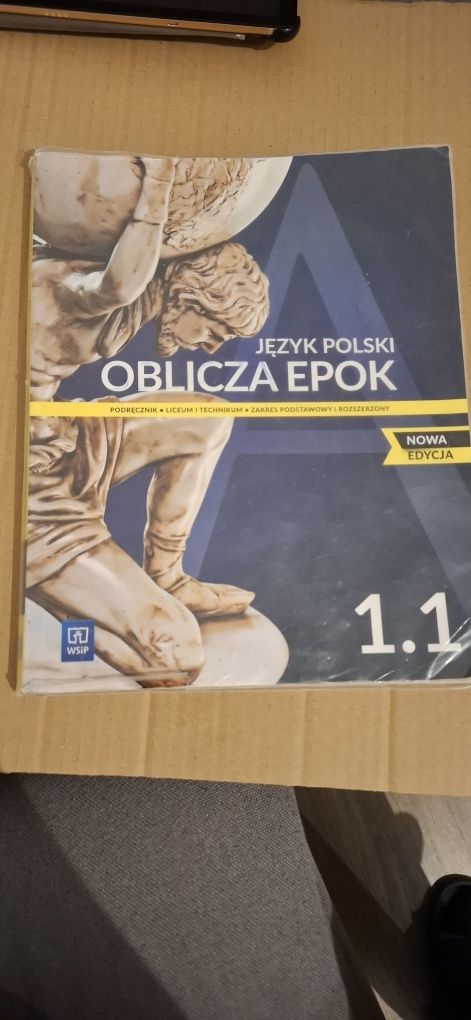 Oblicza epok 1.1 jezyk polski