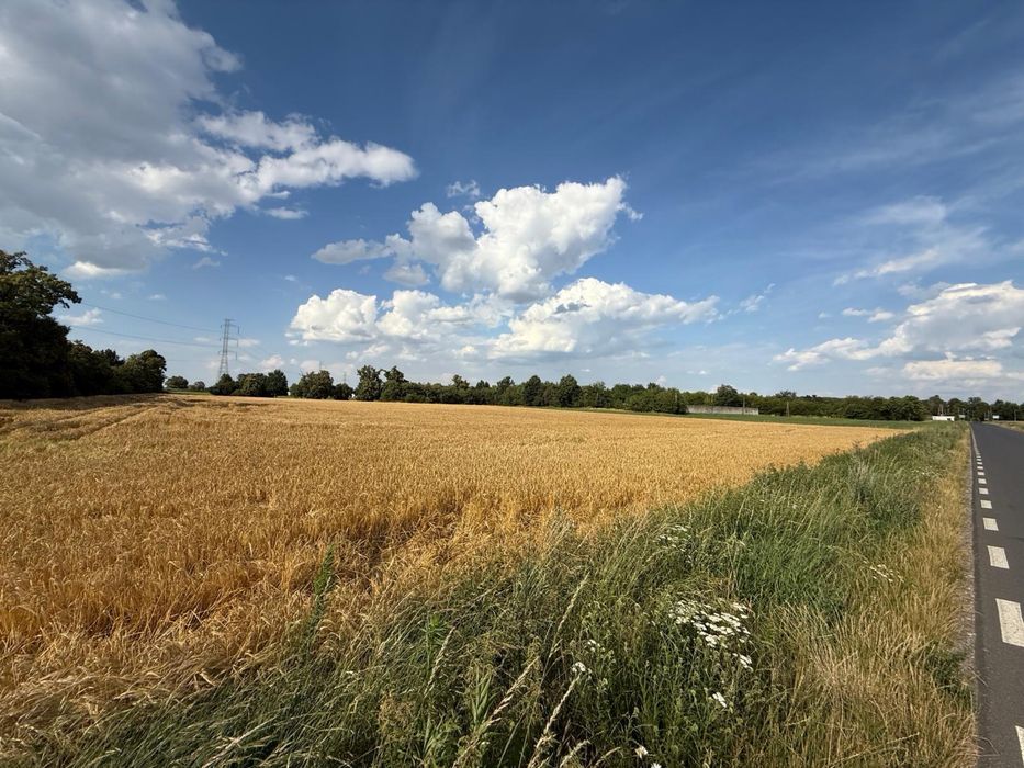 Działka budowlano-usługowa 1ha, Krzyżowice