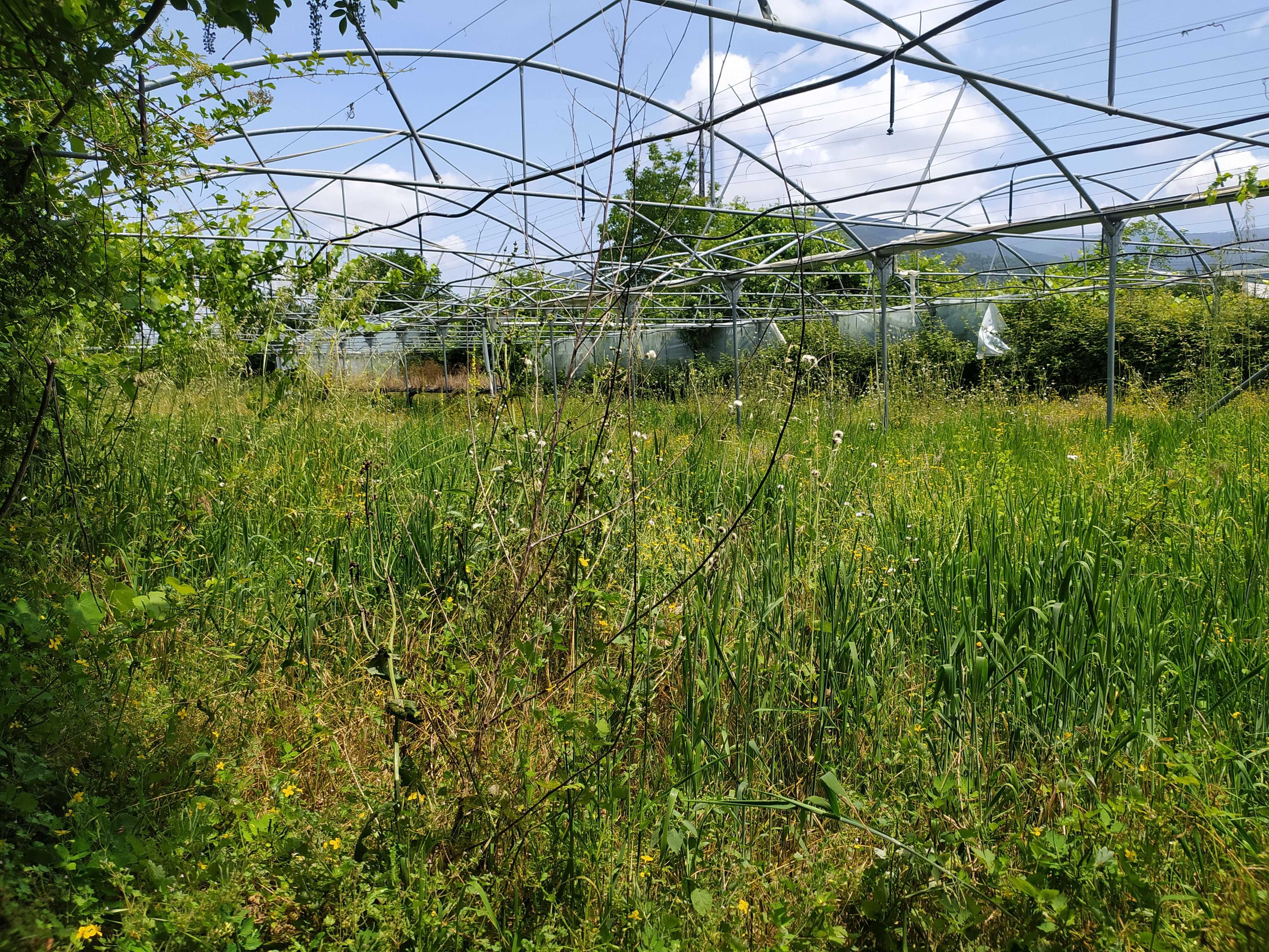 Vendo Terreno Agrícola na Lousã