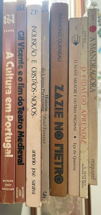 Livros variados em português