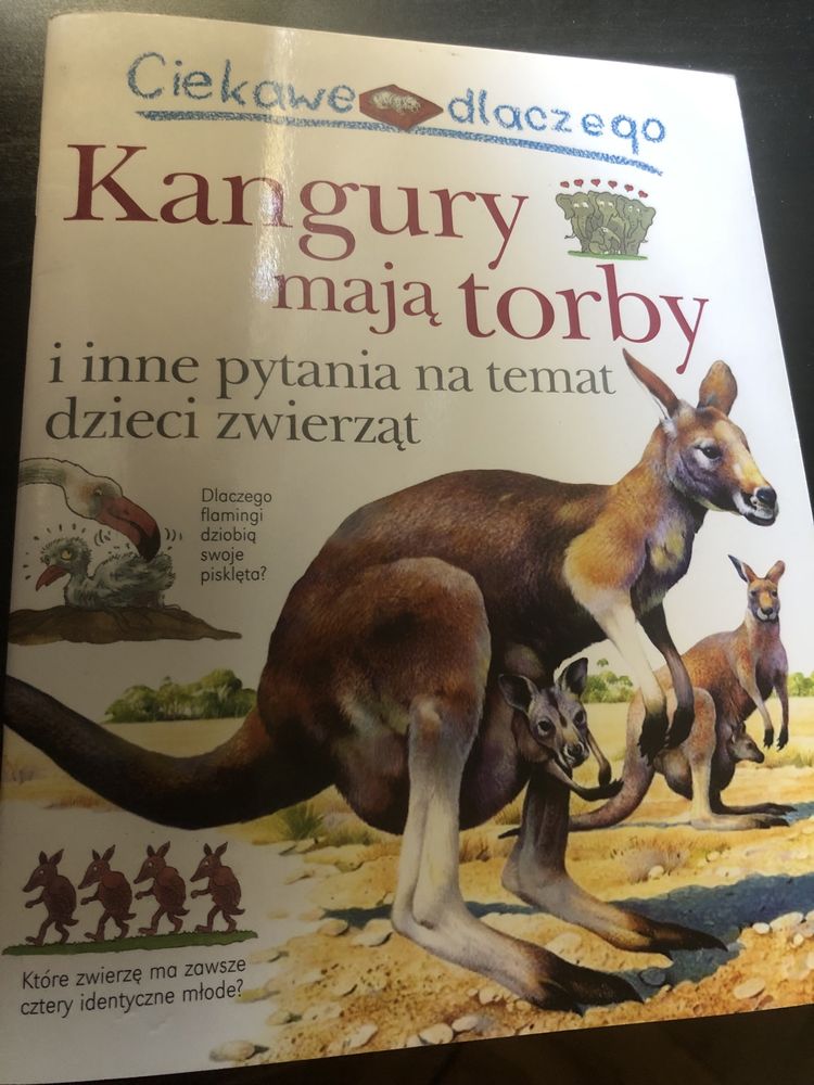 Ciekawe Dlaczego Kangury Mają Torby