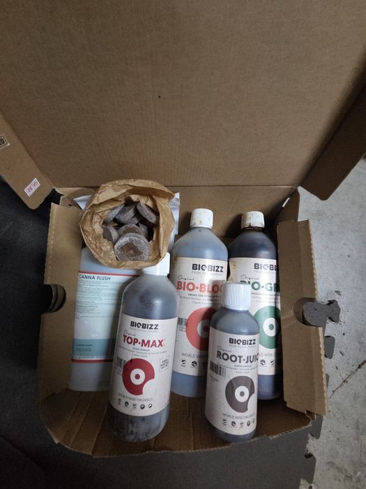 Kit cultivo indoor