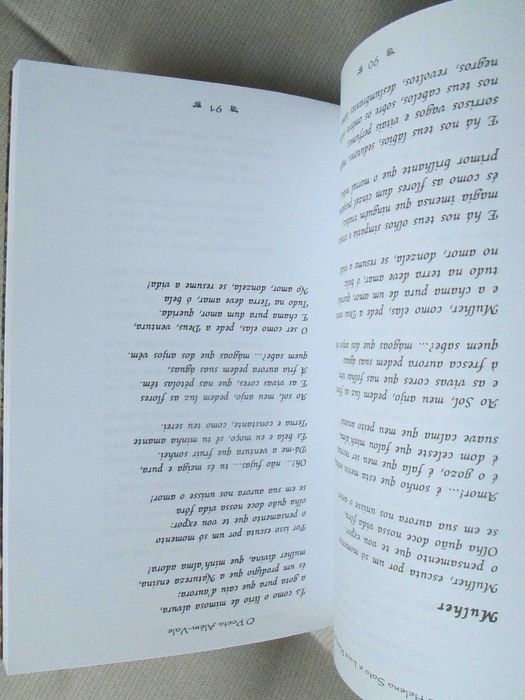 O Poeta Além Vale, António Januário Leite