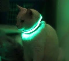 Светящийся ошейник для собак и кошек