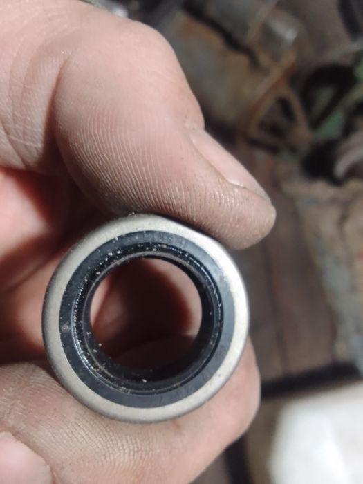 Сальник тнвд нісан санні, премєра