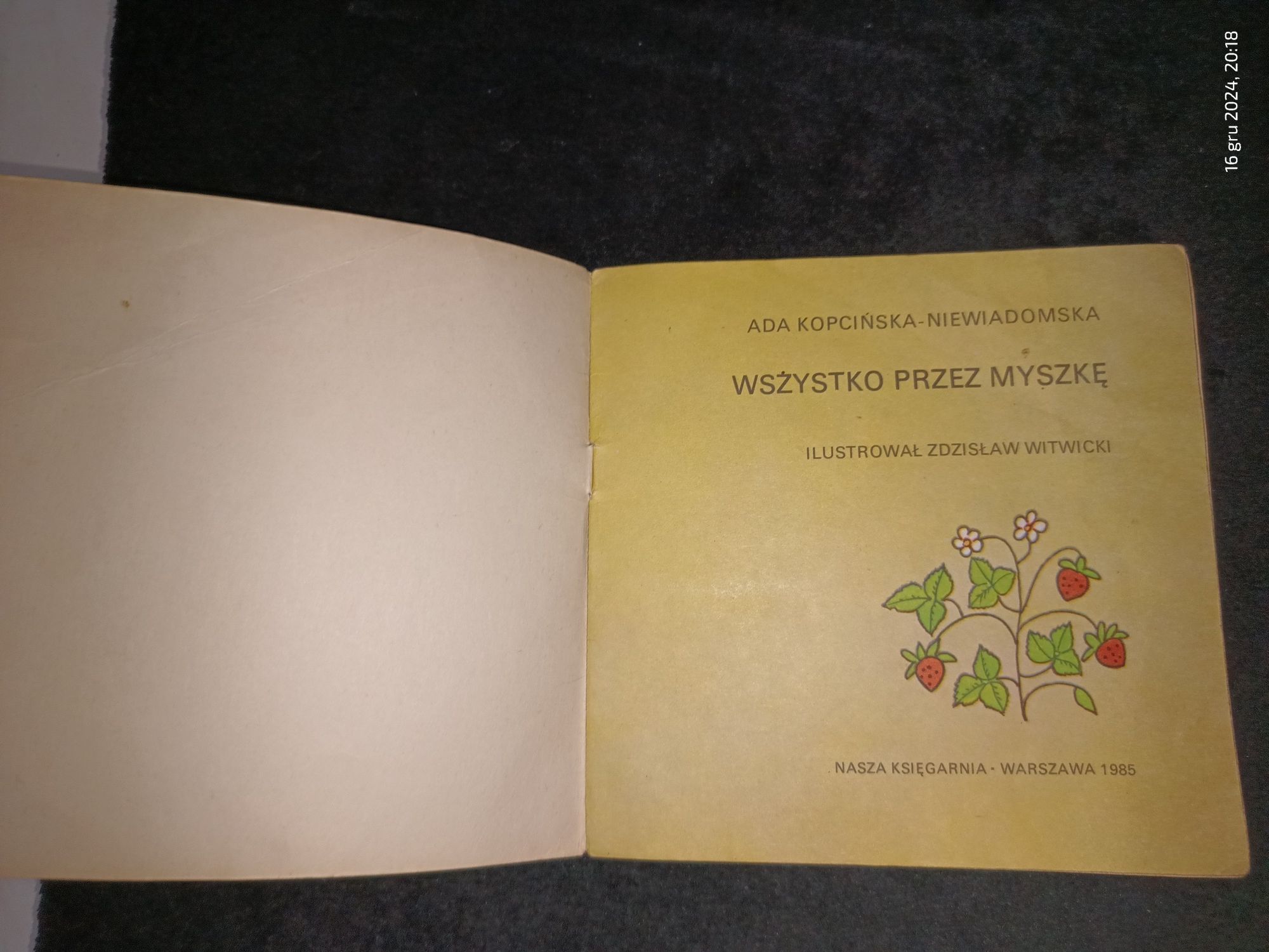 Wszystko Przez Myszkę Ada Kopcińska-Niewiadomska