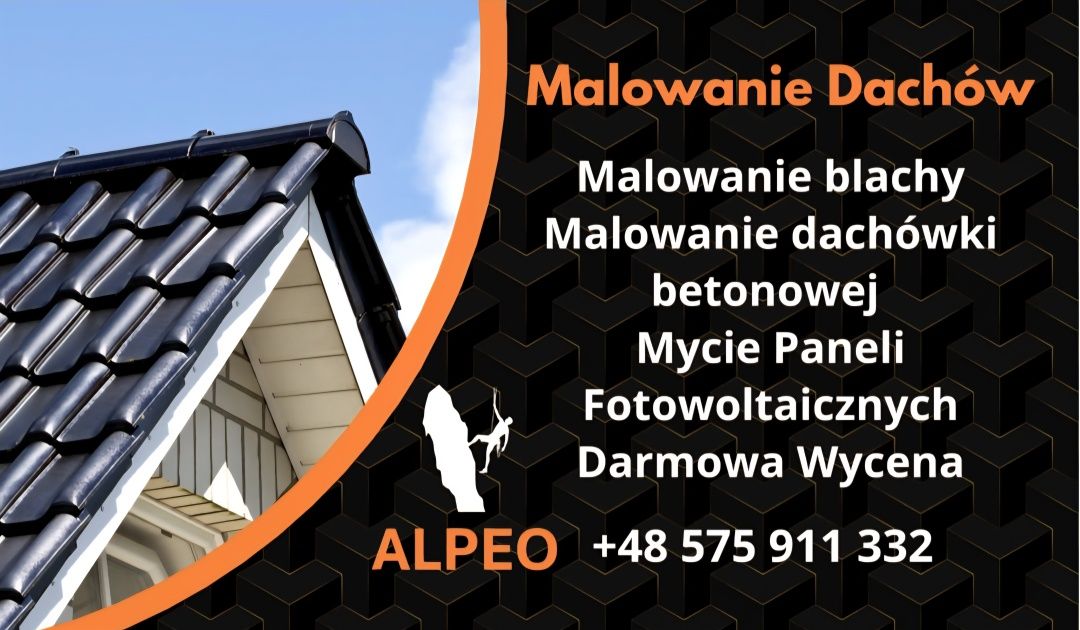 Malowanie Dachów i Mycie Paneli Fotowoltaicznych cała małopolska