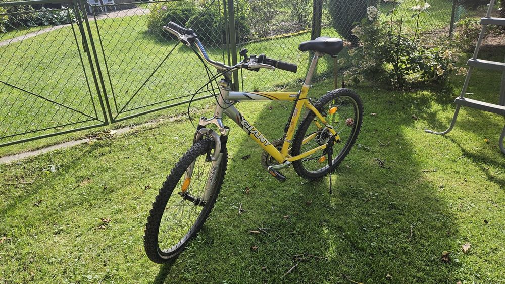 Rower Giant  Rama 17