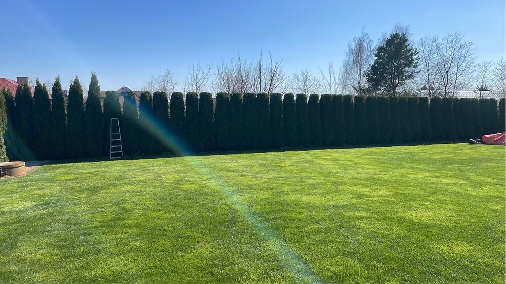 Uslugi ogrodnicze, koszenie trawy, ciecie zywopłotów, wycinka drzew