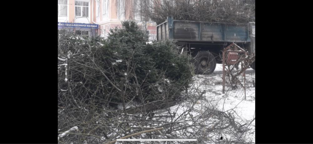 Вивіз гілок , листя, коріння, дерев ,будівельне сміття та хлам.