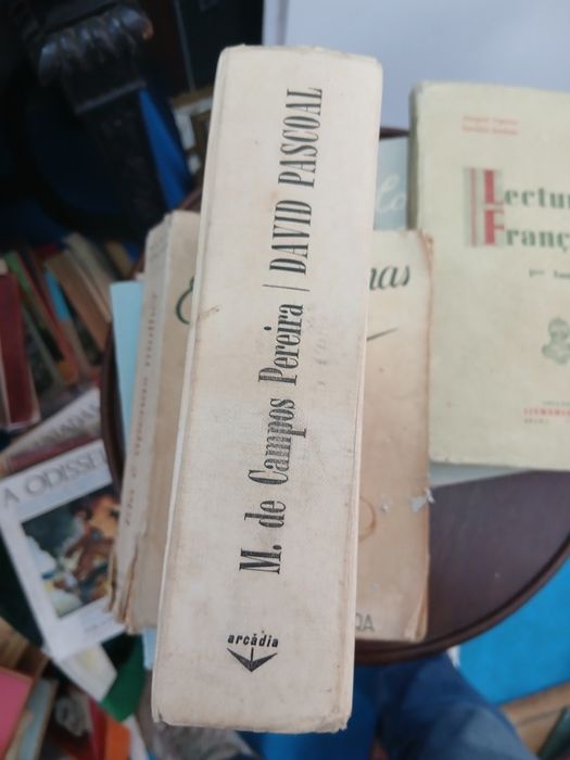 M. De Campos Pereira, David Pascoal