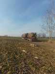 Sprzedam drzewo 130/MP