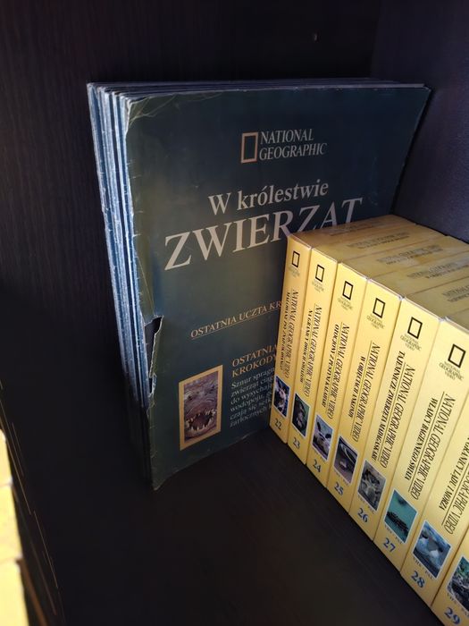 Kolekcja kaset video