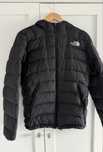 Kurtka the north face