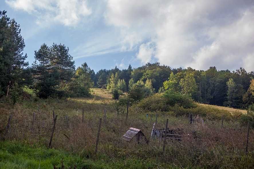 Dom na uboczu w Bieszczadach / Beskidzie Niskim