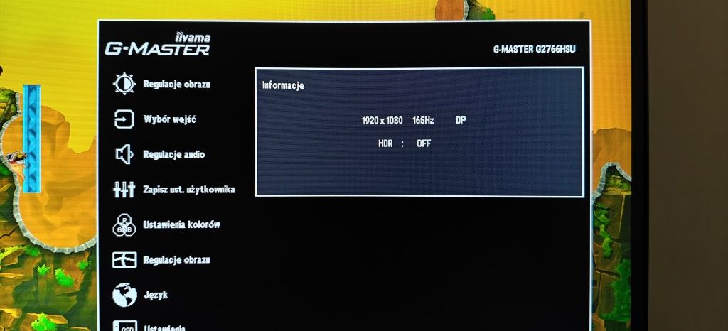 Monitor iilyama 165 hz