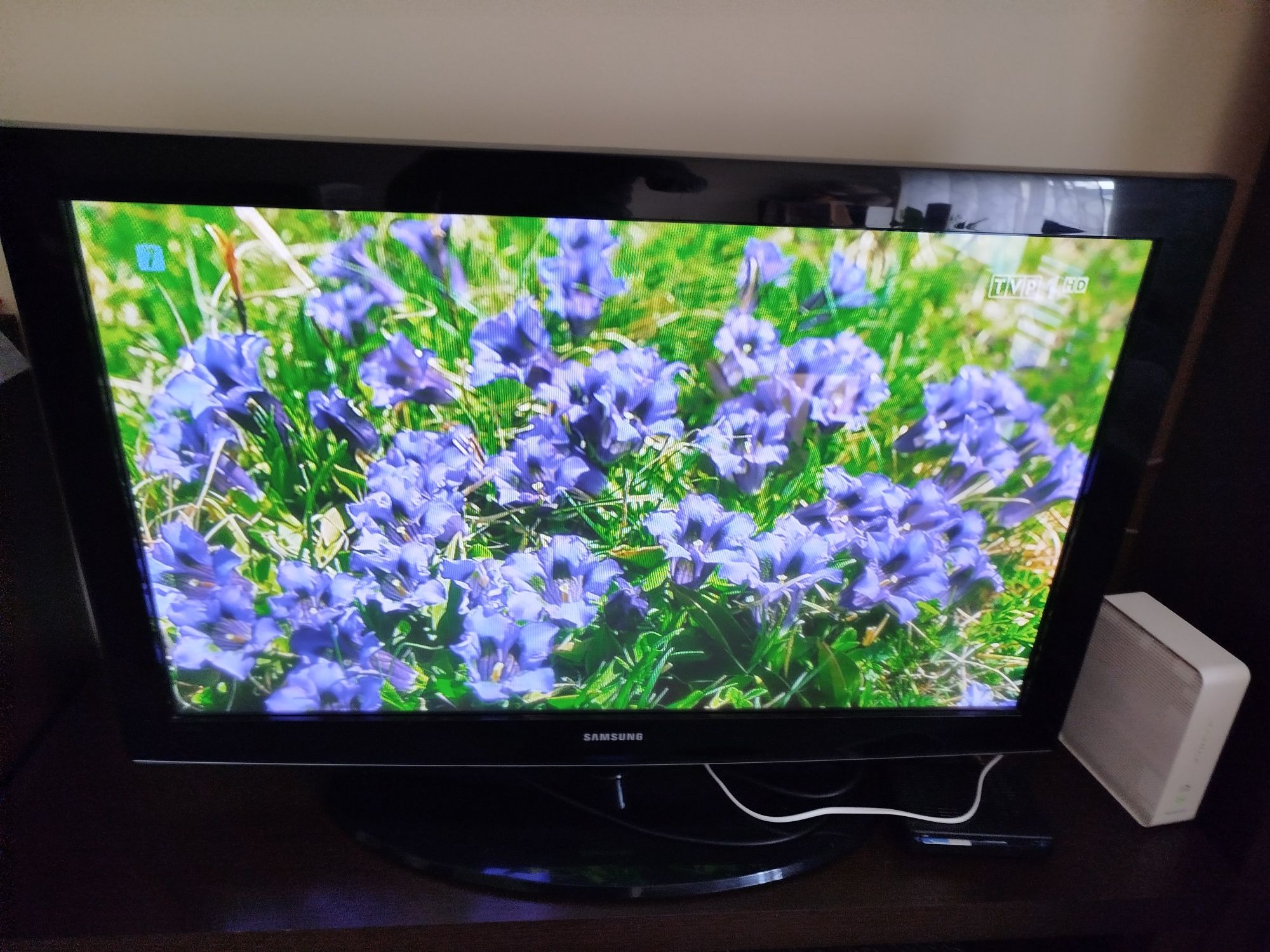 Telewizor Samsung 42 całe Samsung PS42