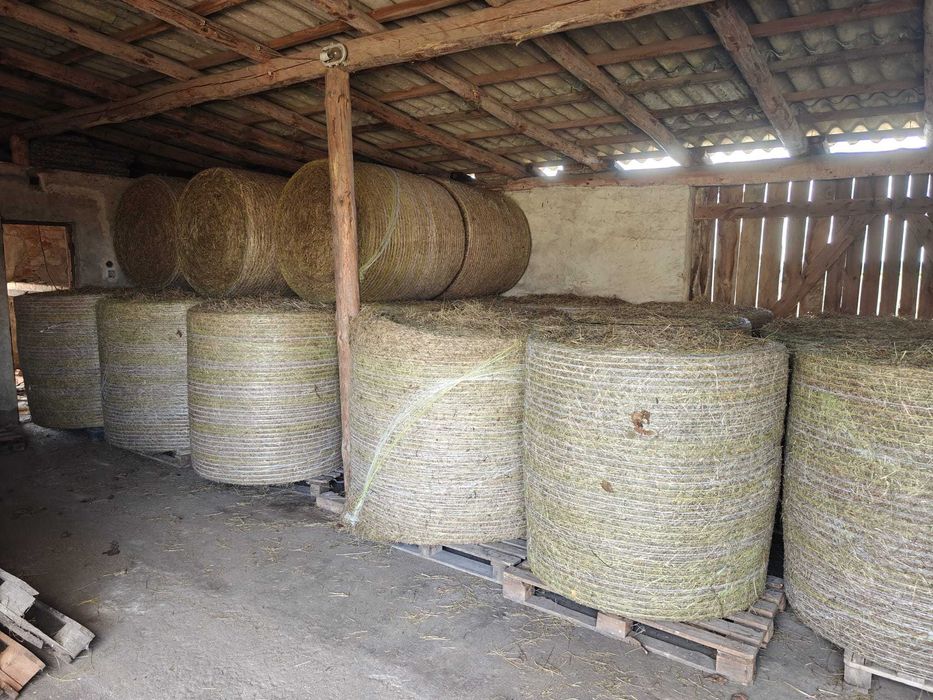 Siano z łąk trwałych i wieloletnich 2025r