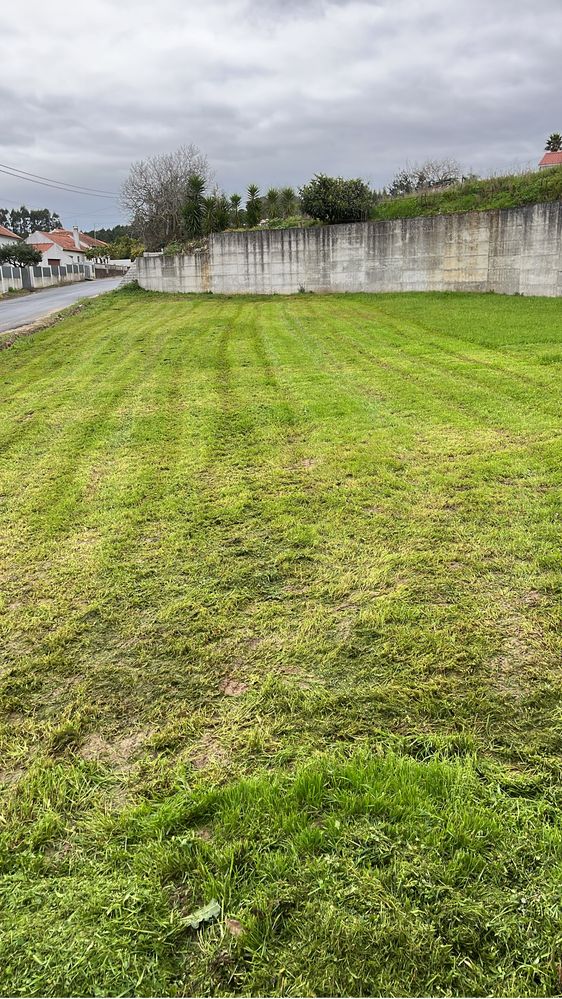 Serviços de Jardinagem limpeza de terrenos