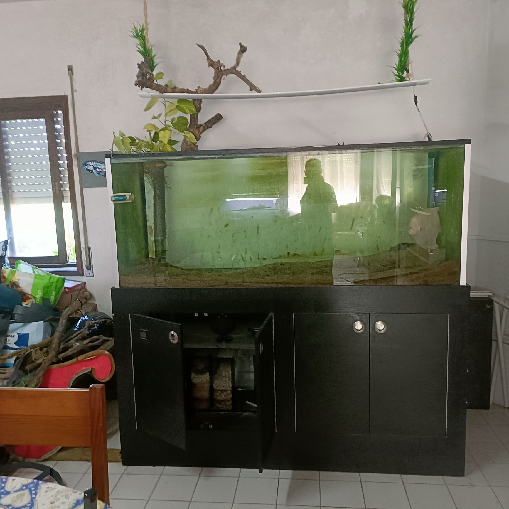 Aquario completo 170x70x70