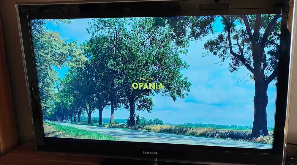Samsung TV LE46D550K1WXXH