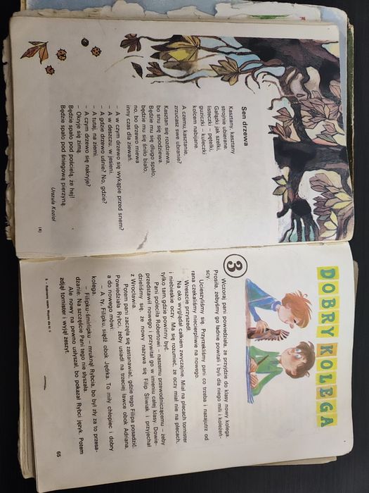 Rośniemy razem Wypisy dla klasy 2 W. Badalska WSiP rok 1984