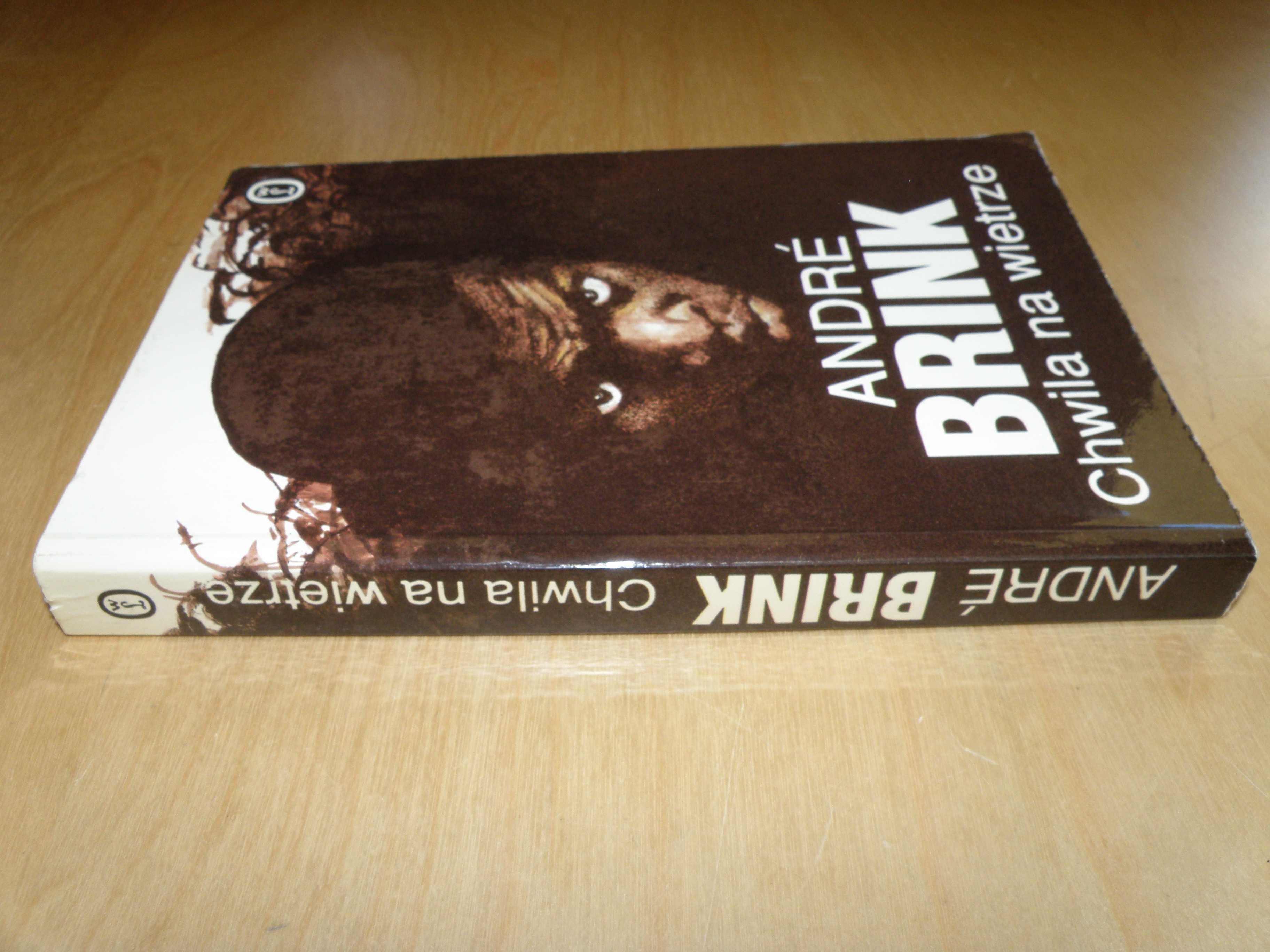 Andre Brink - Chwila na wietrze
