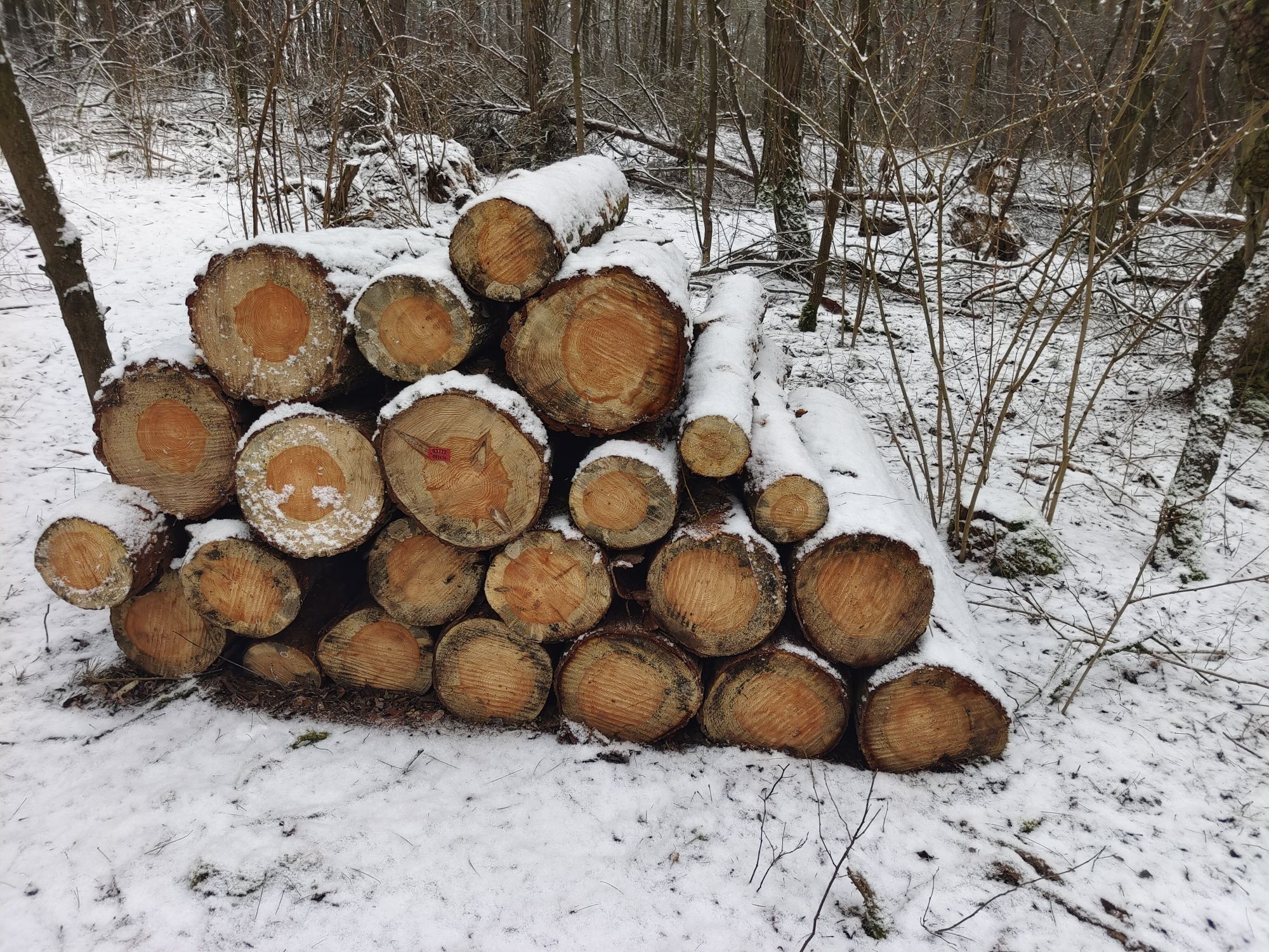 Drewno przesuszone opałowe kominkowe sosna + liściaste + gałęziówka li