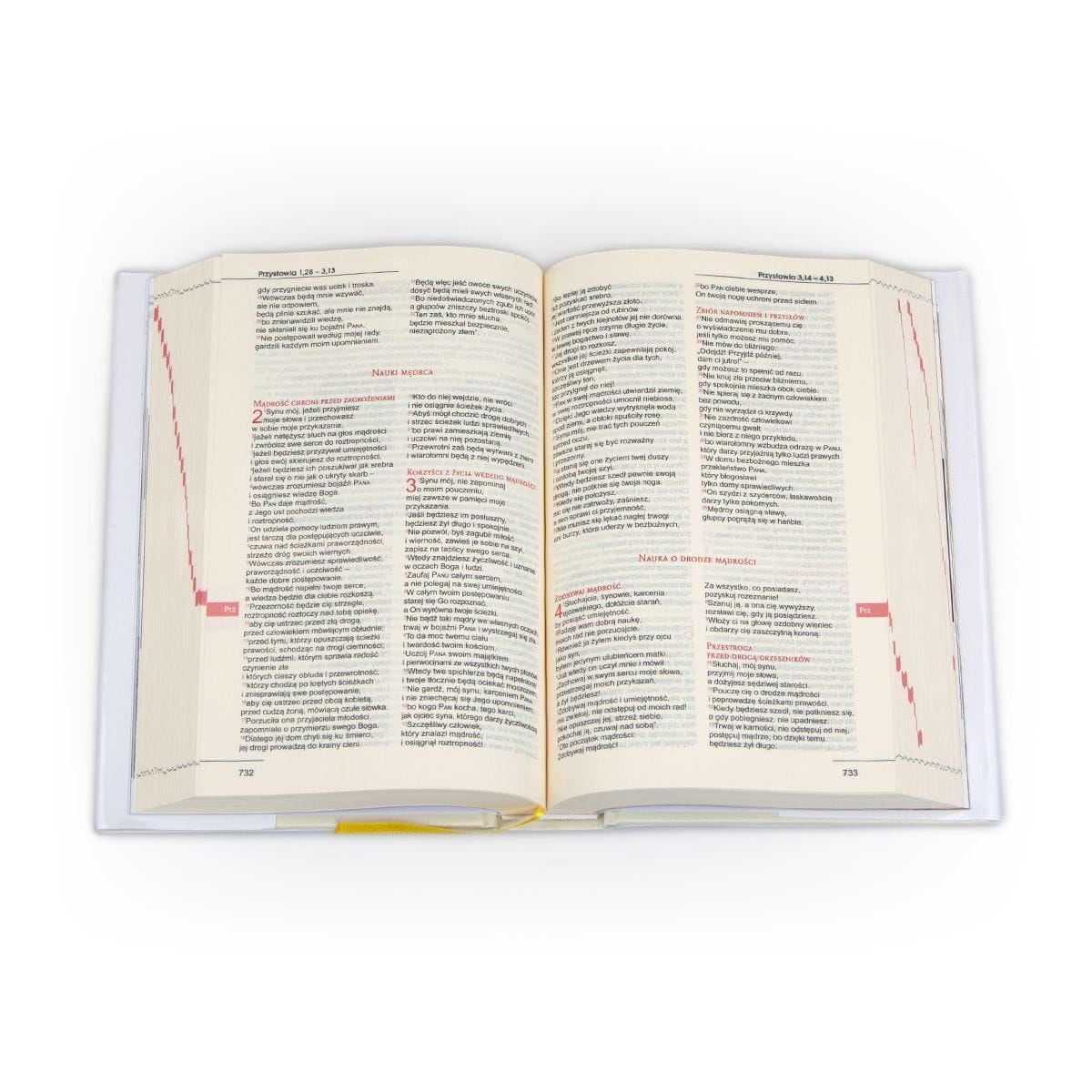 Biblia z rybką Pamiątka Chrztu Świętego Stary i Nowy Testament, tw