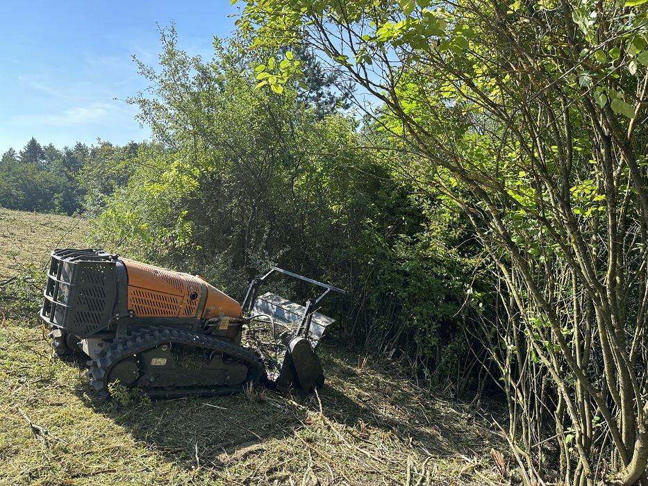 Mulczowanie karczowanie wycinka czyszczenie działek