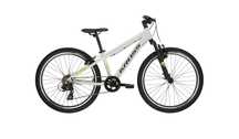 Kross Dust JR 1.0 szary 24"