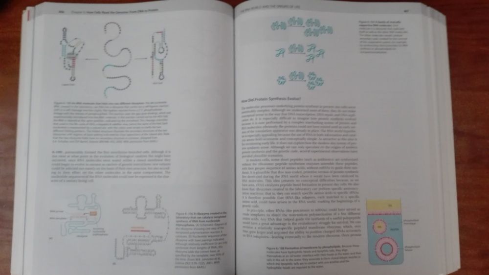 Alberts - Molecular Biology of the Cell 5th Edition