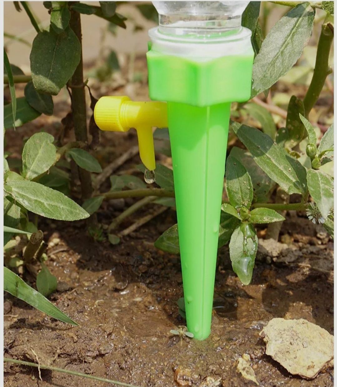 Капельний полив для городини і вазонів з допомогою пляшки