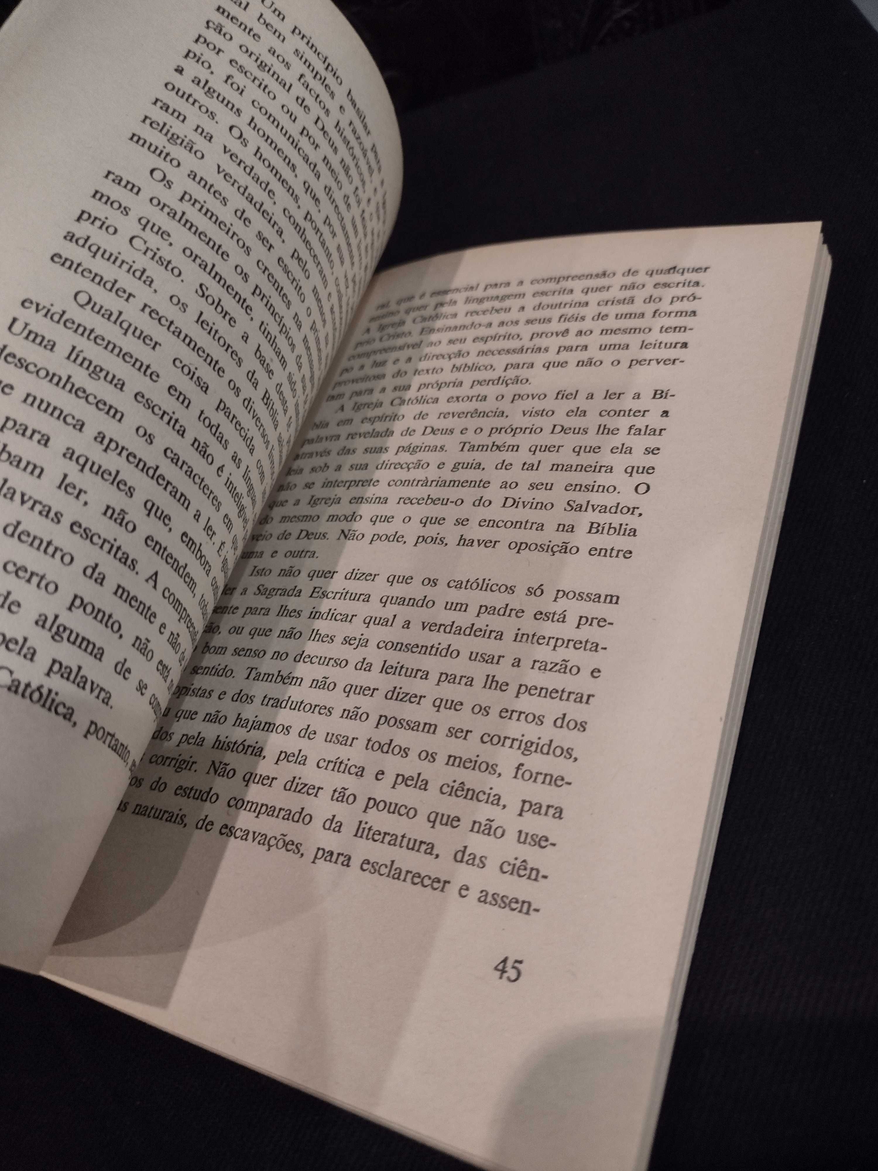 A Leitura da Bíblia - "Ut Unum Sint"