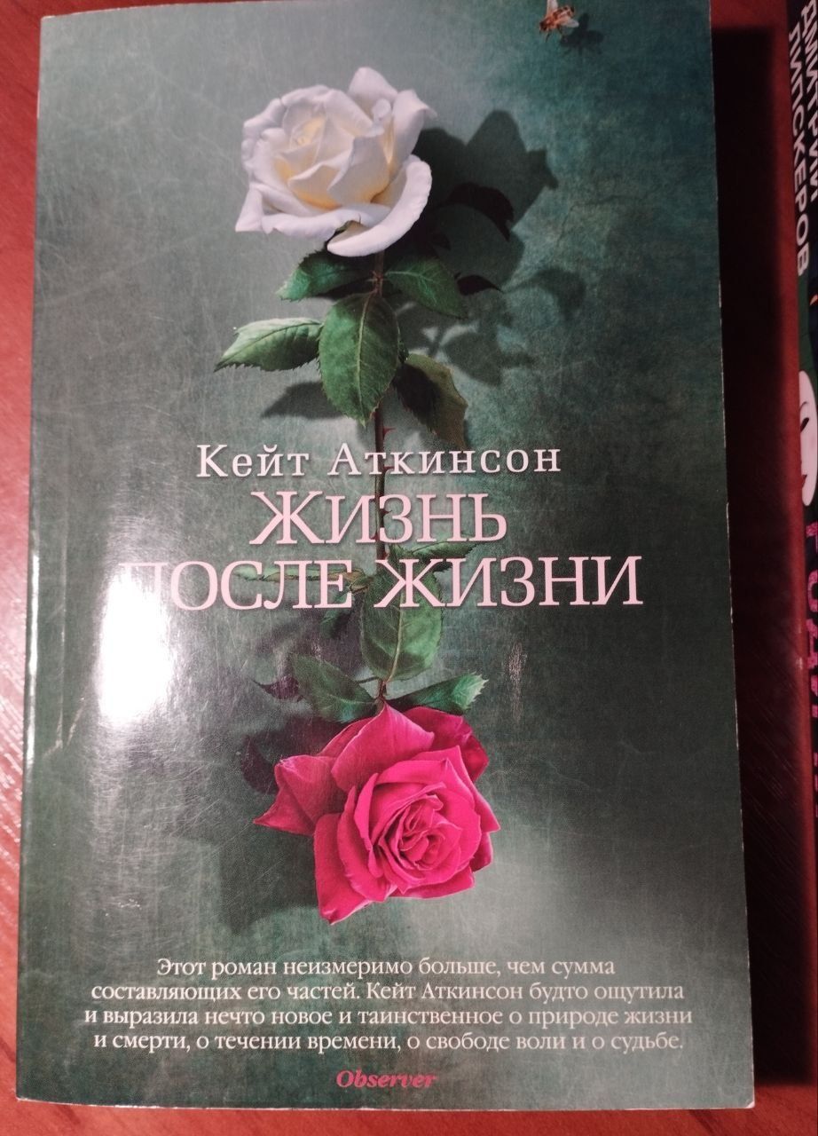 Книга роман 2 шт