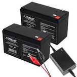 2x Akumulator żelowy 12V 7.0Ah UPS alarm samochodzik + ładowarka