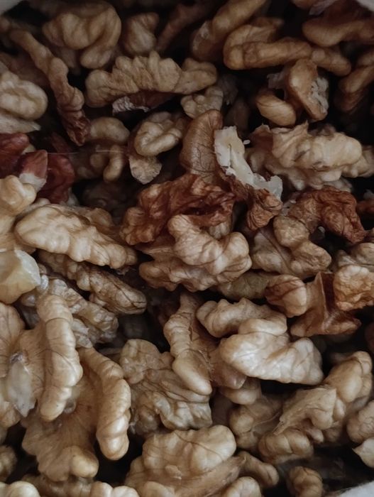 Orzechy włoskie 2025