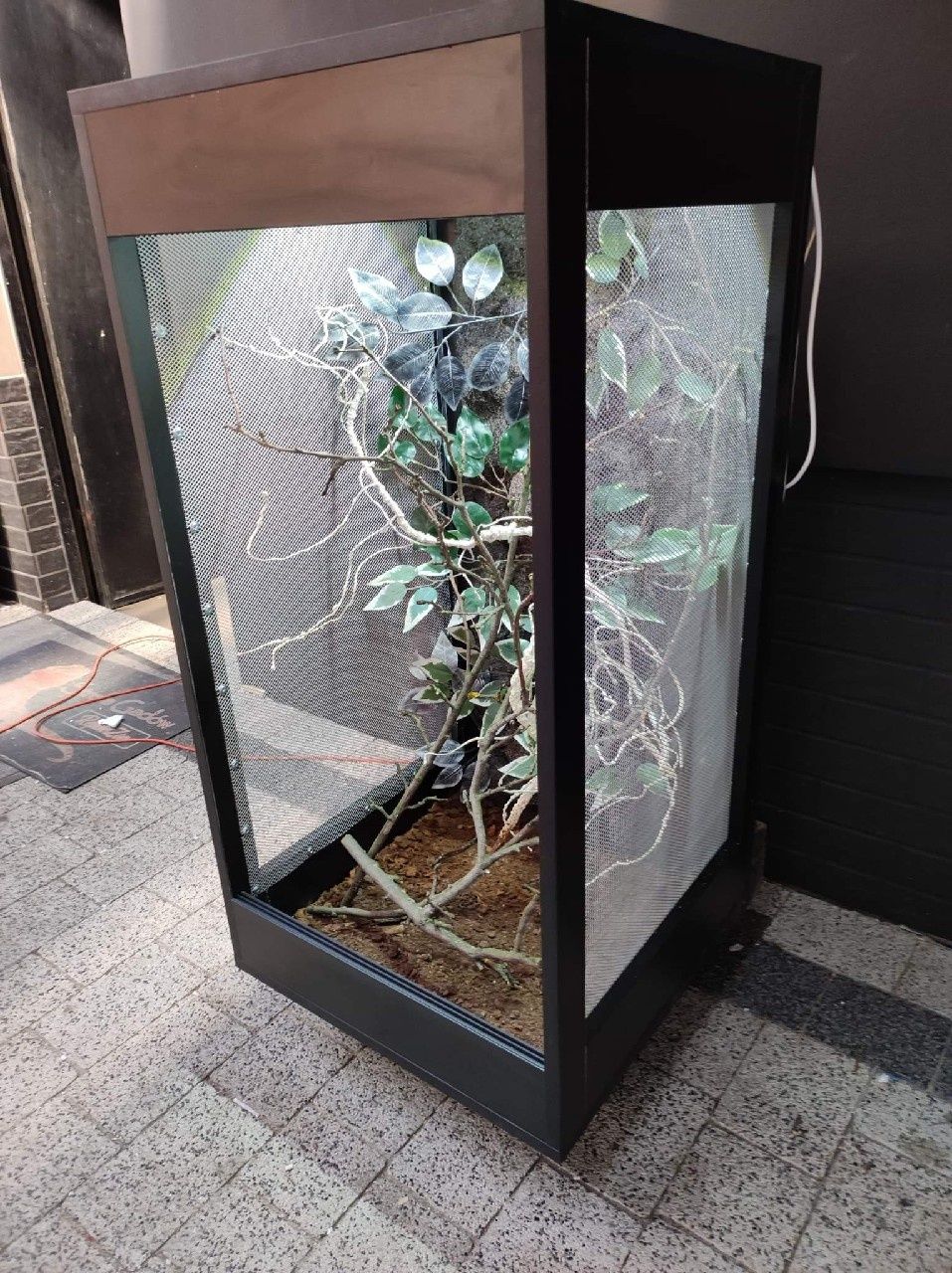 Terrarium z płyty meblowej kameleon jaszczurka KOŚCIAN