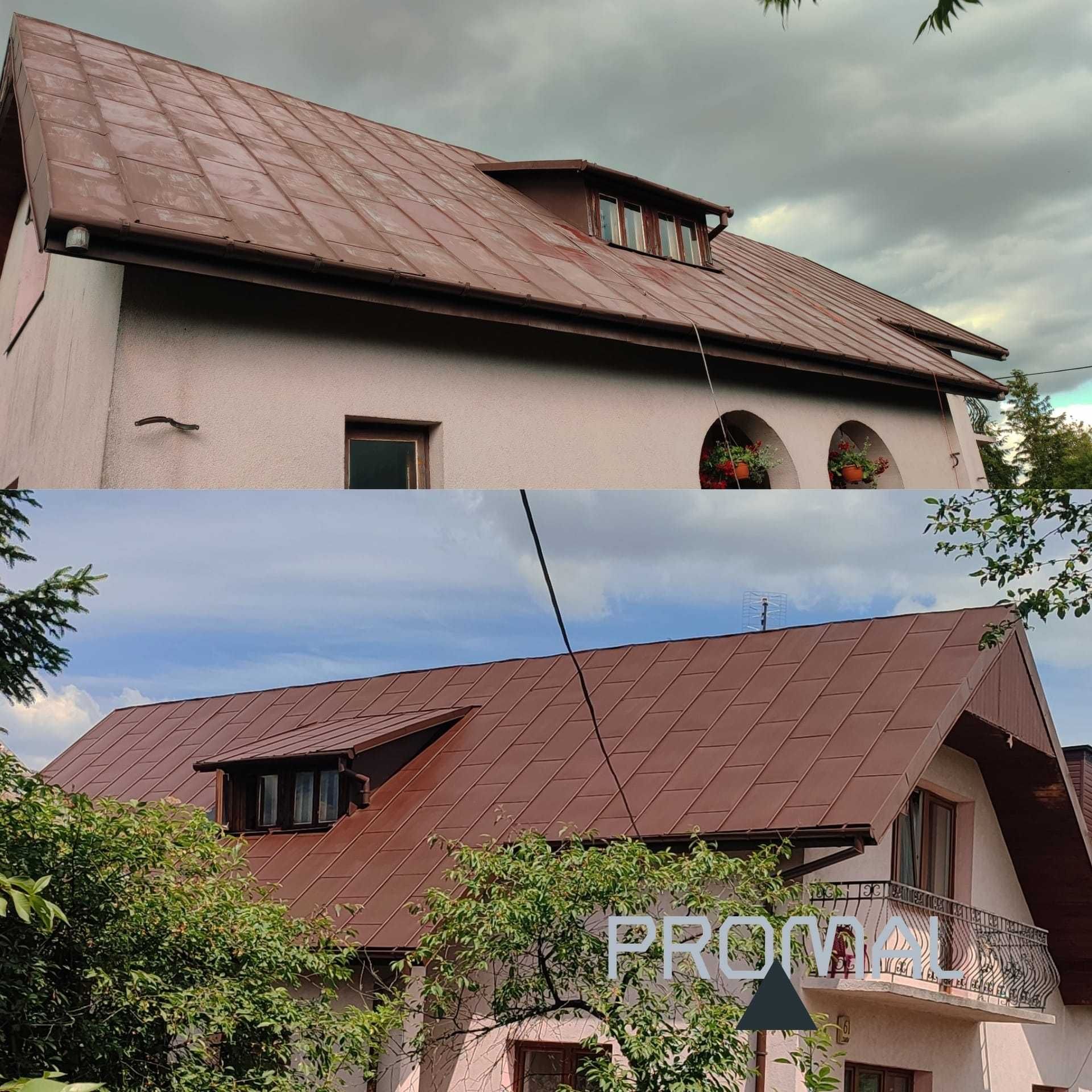PROMAL Mycie i malowanie dachów, elewacji, kostki, prace wysokościowe