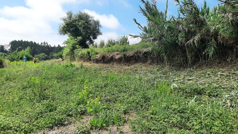 Terreno rustico p/ venda