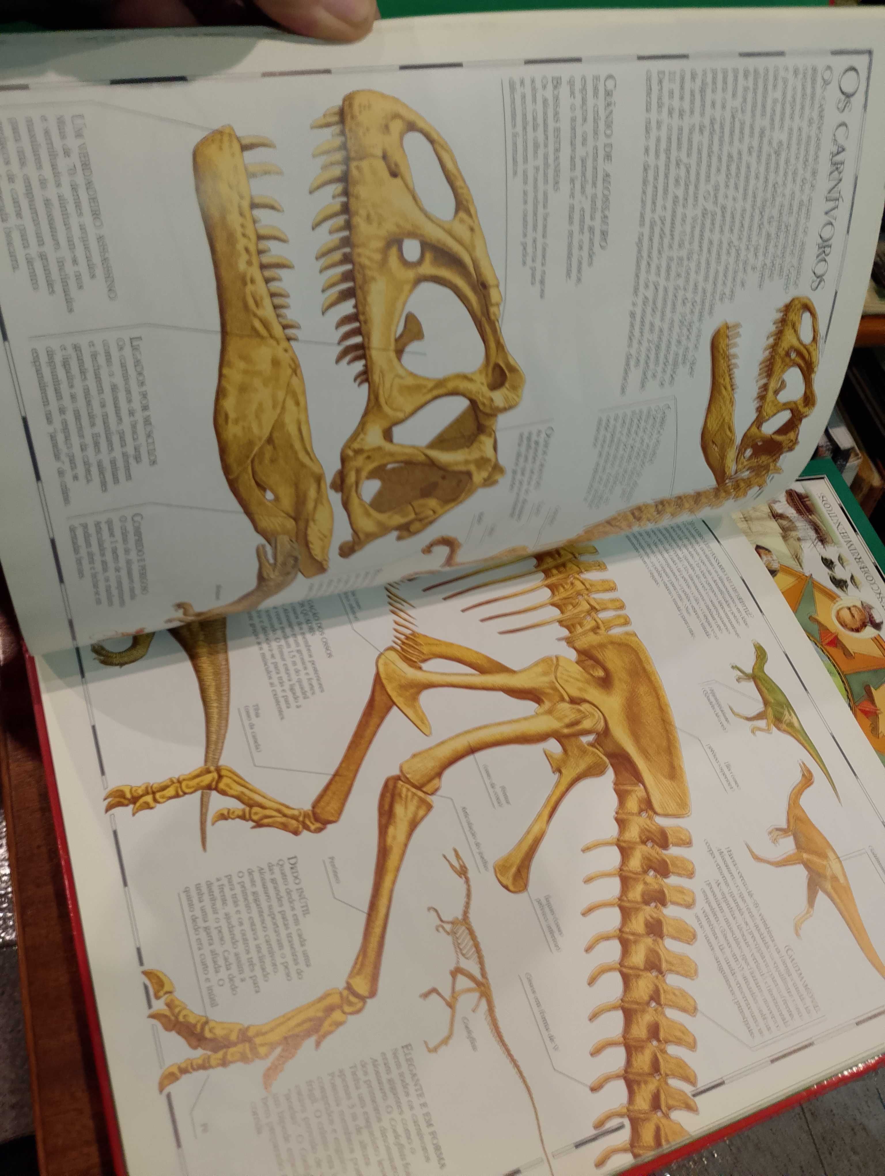 Grande Atlas dos Dinossauros