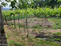 Terreno  para venda