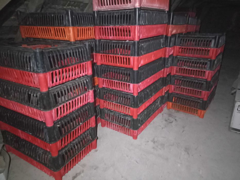 Klatki dla drobiu skrzynki do kur ptaków transportery