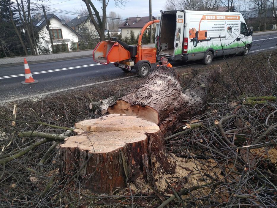 Wycinka drzew , pielęgnacja , karczowanie , oczyszczanie działek-rębak