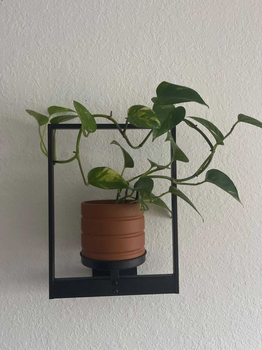 Kwietniki 3 sztuki na kwiaty stojaki ścienne na ścianę oryginalne loft