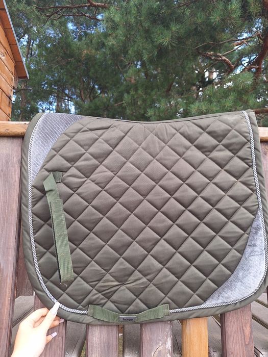 Czaprak horze pomona