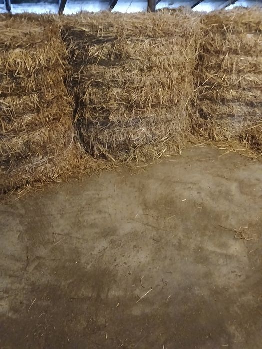 Słoma w belach żytnia