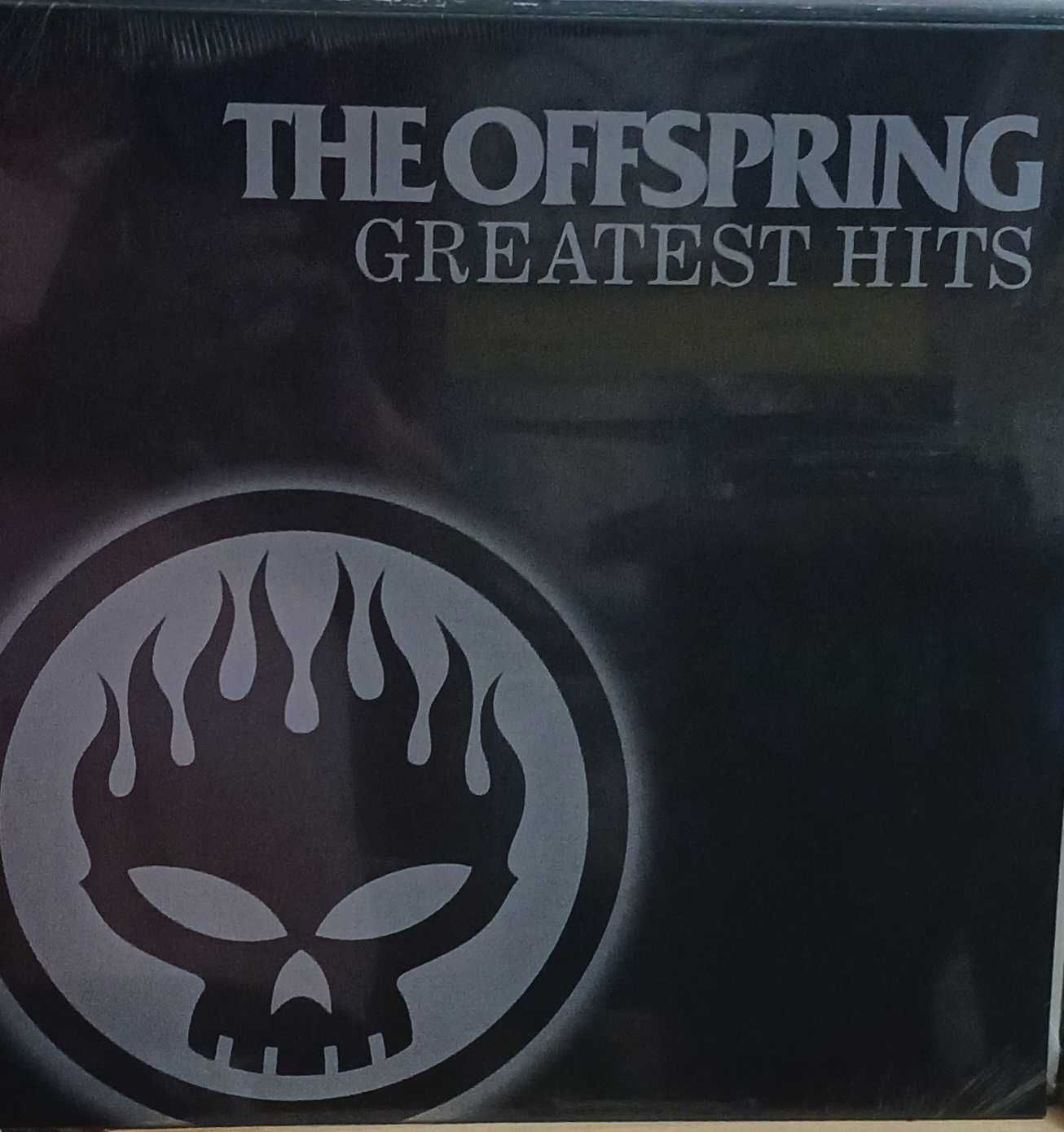 Коллекция виниловых пластинок Lenny Kravitz Offspring Imagine Dragons