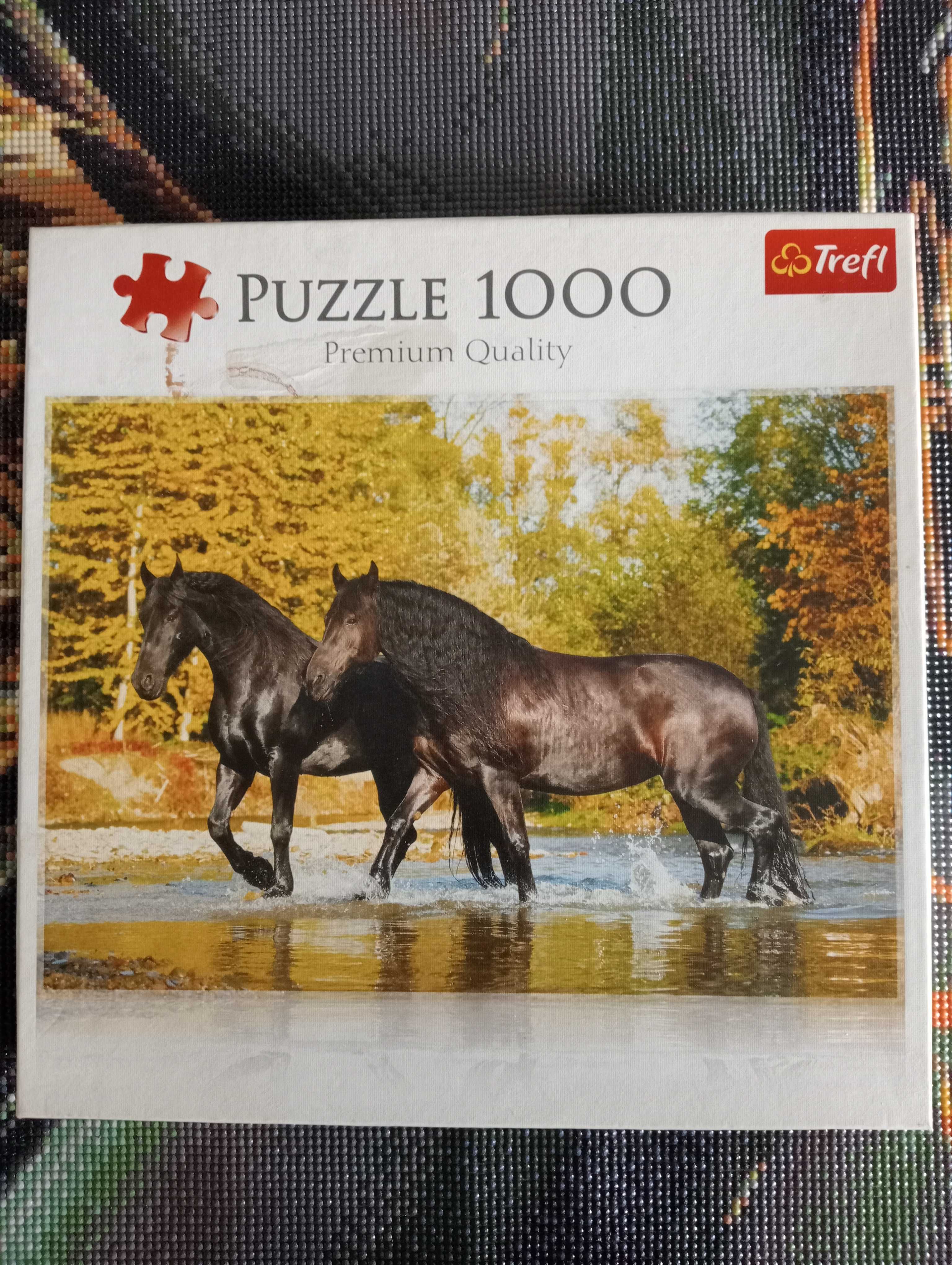 Puzzle firmy Trefl 1000 elementów.